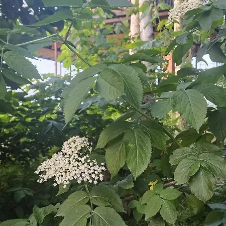 Hébergement de vacances Natuglen Dalmose